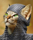 Avatar du membre